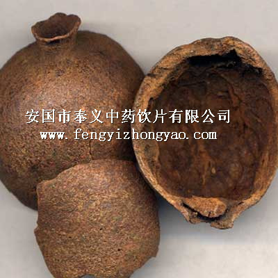 石榴皮 安国市奉义中药饮片有限公司官方网站,安国中药饮片,网上